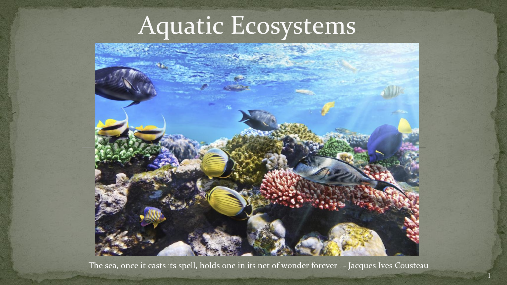 Aquatic Ecosystems