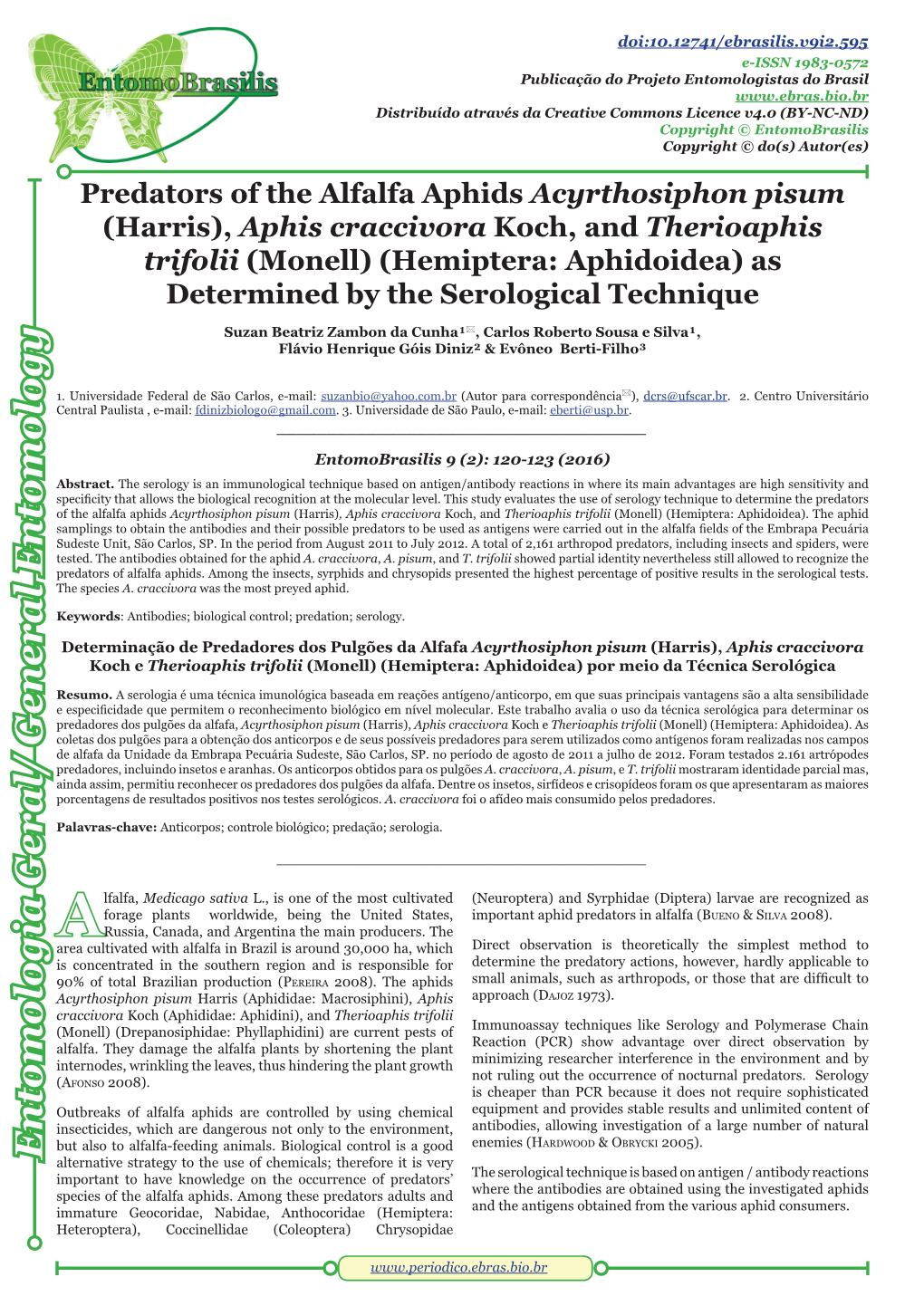 Predators of the Alfalfa Aphids Acyrthosiphon Pisum (Harris)