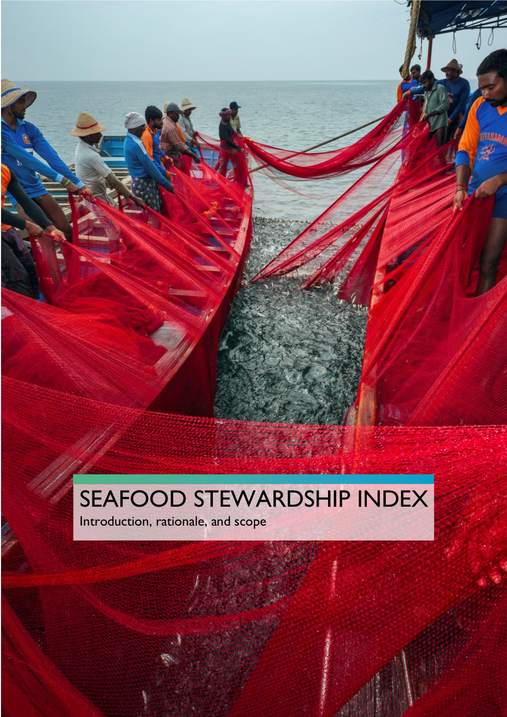 SEAFOOD STEWARDSHIP INDEX Introduction, Rationale, and Scope