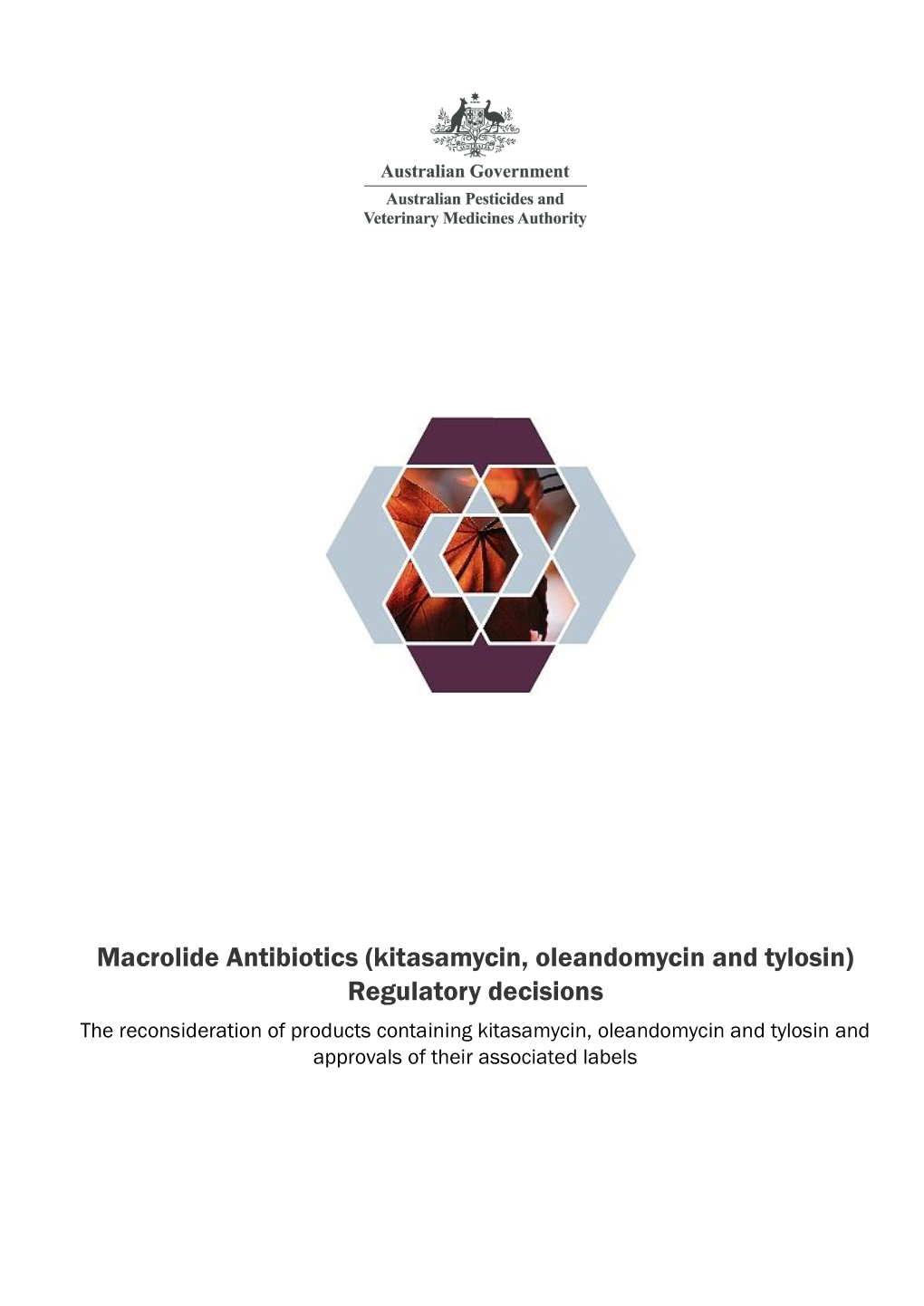 Macrolide Antibiotics