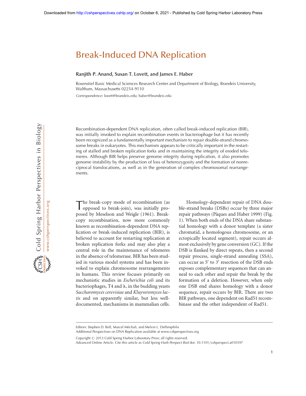 Break-Induced DNA Replication