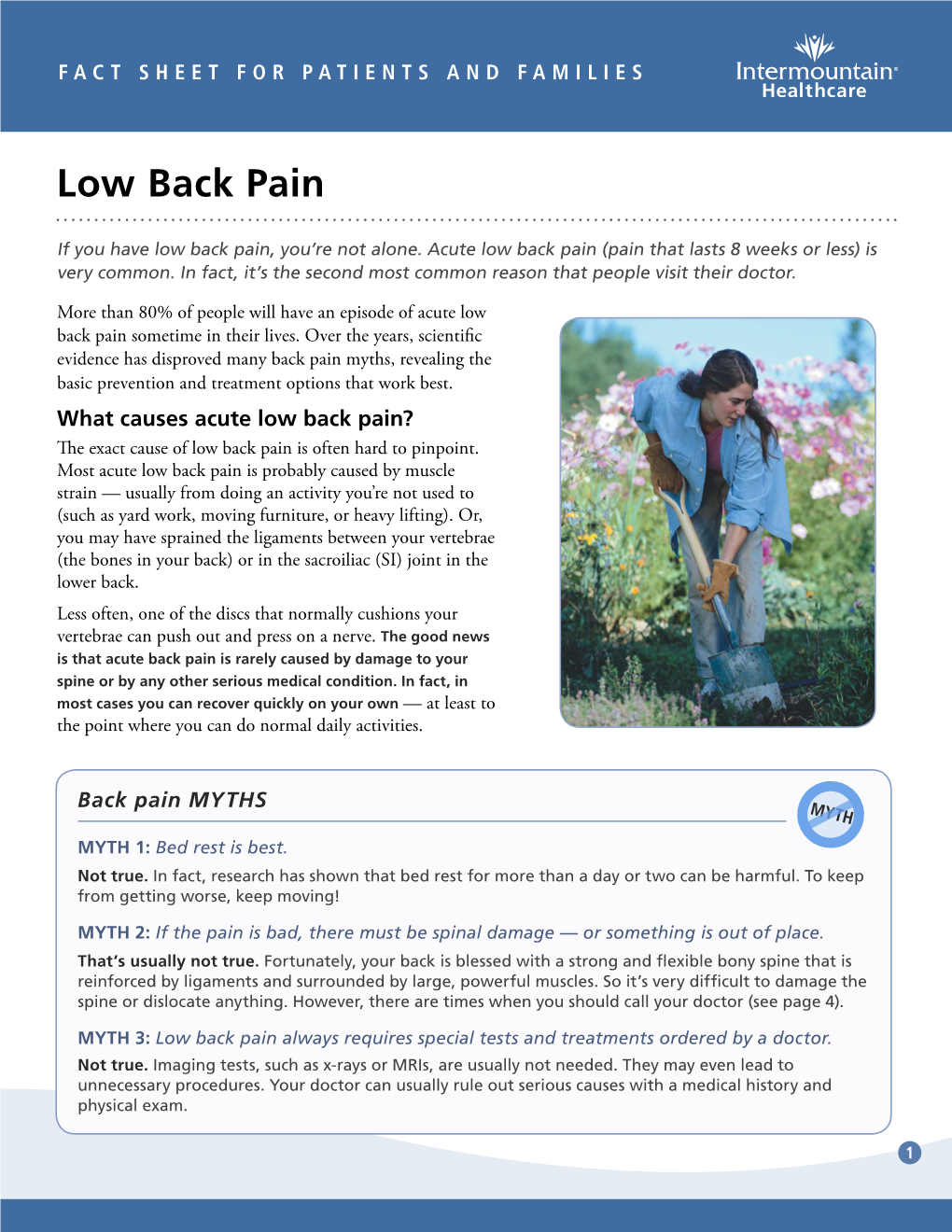 Low Back Pain Fact Sheet