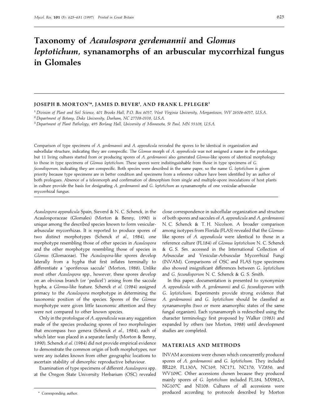 Taxonomy of Acaulospora Gerdemannii and Glomus Leptotichum, Synanamorphs of an Arbuscular Mycorrhizal Fungus in Glomales