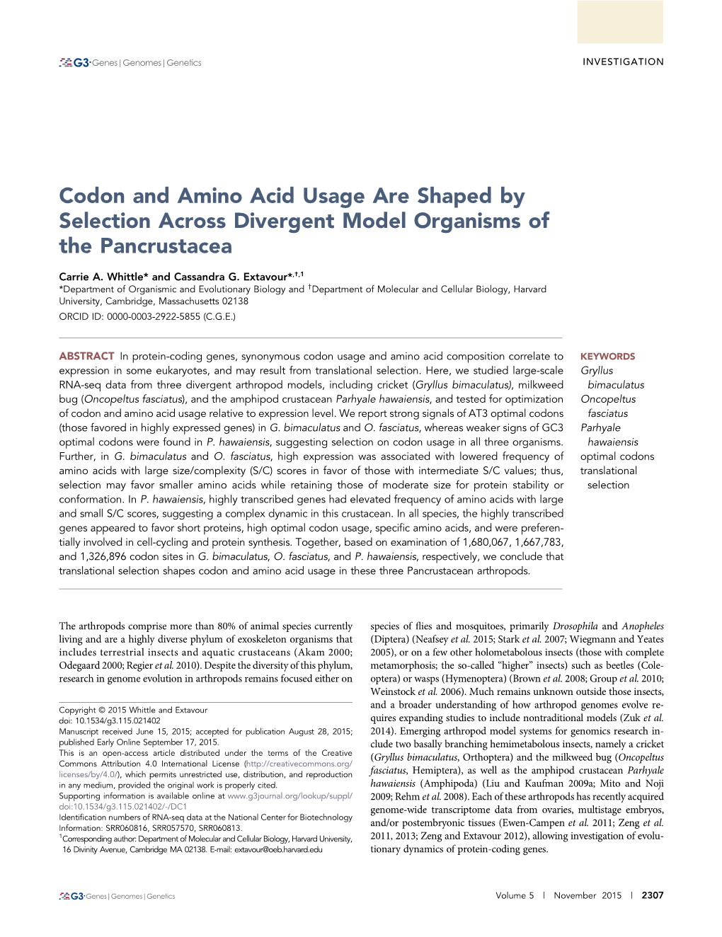 Codon and Amino Acid Usage Are Shaped by Selection Across Divergent Model Organisms of the Pancrustacea