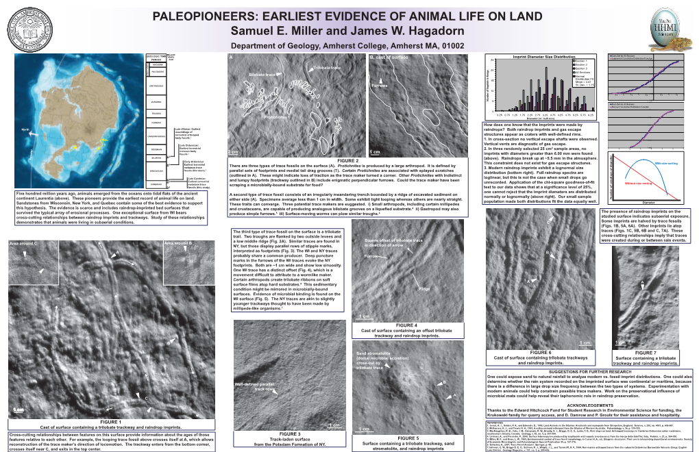 EARLIEST EVIDENCE of ANIMAL LIFE on LAND Samuel E. Miller and James W. Hagadorn Department of Geology, Amherst College, Amherst MA, 01002