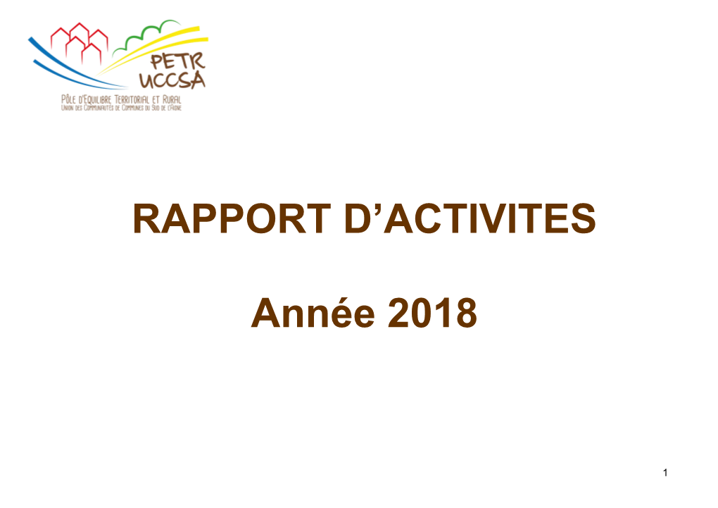 RAPPORT D'activites Année 2018