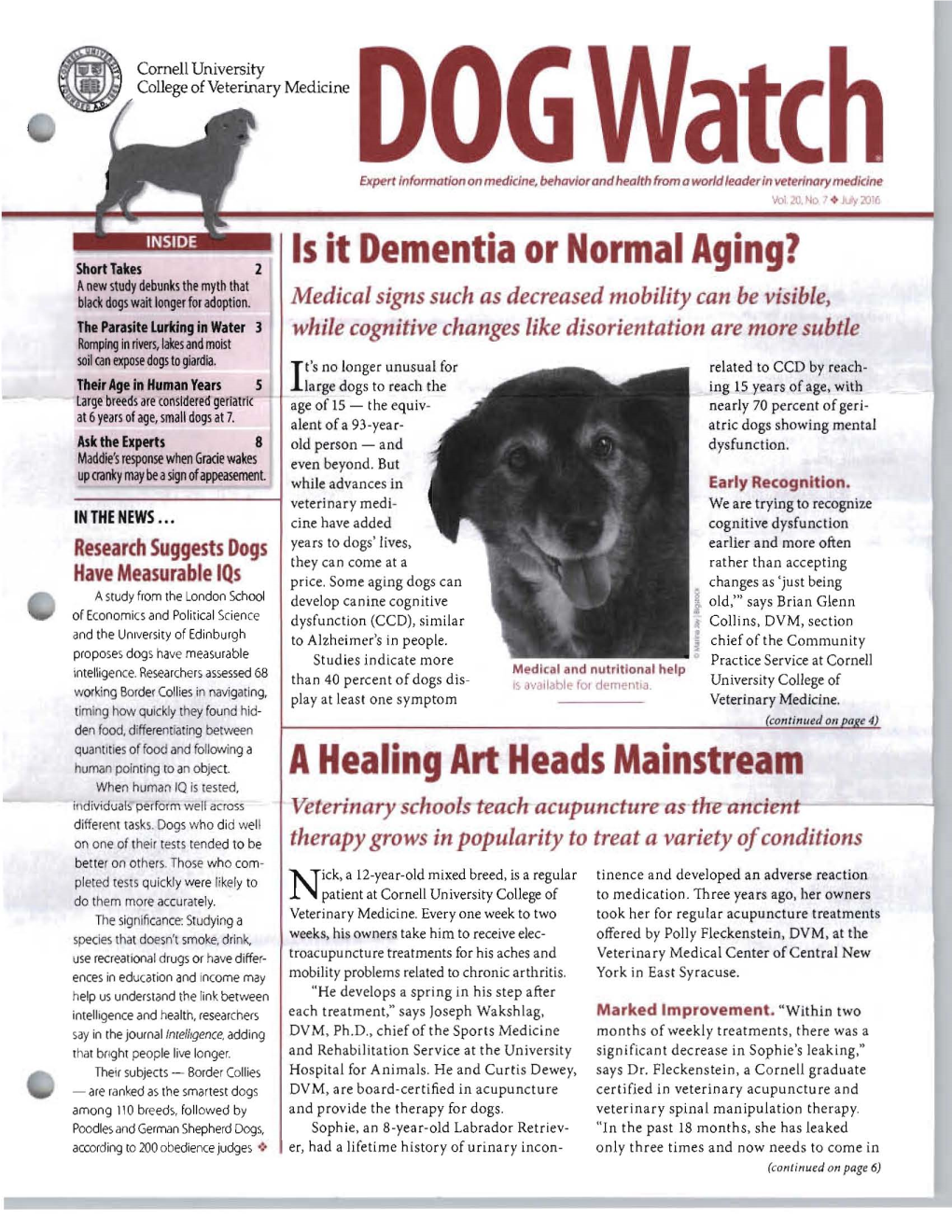 Is It Dementia Or Normal Aging? Anew ~Tudy Debunk~ the Myth That Blade Dog~ Watt Longer for Adoption