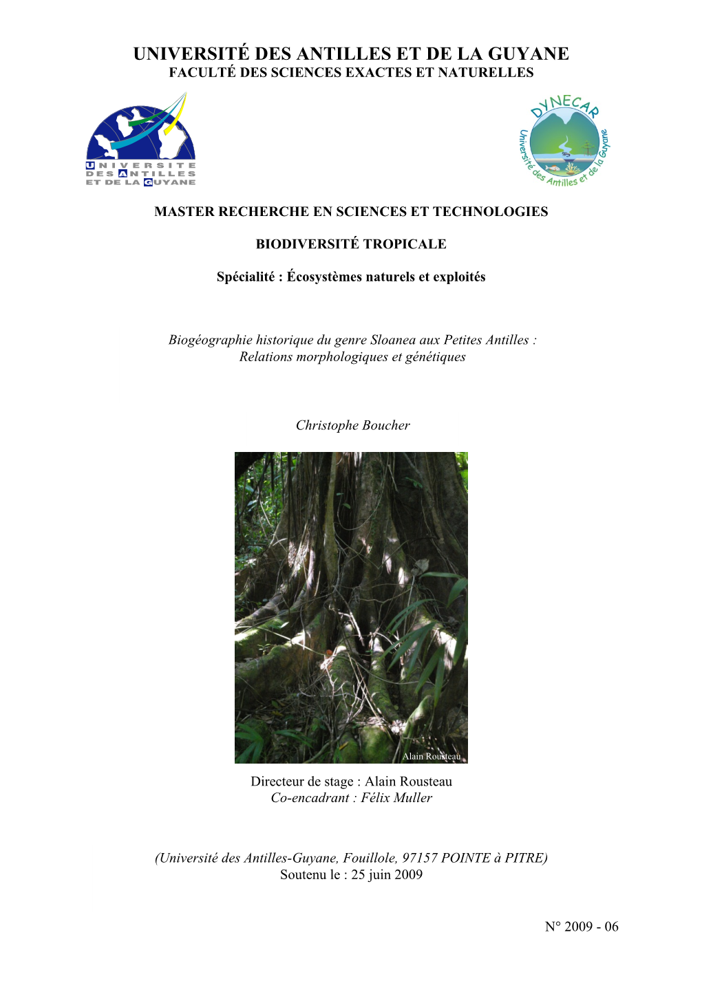 Sloanea Aux Petites Antilles : Relations Morphologiques Et Génétiques