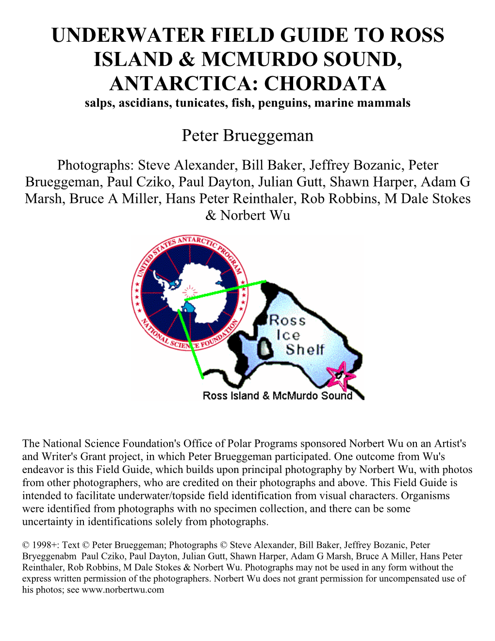 CHORDATA Salps, Ascidians, Tunicates, Fish, Penguins, Marine Mammals