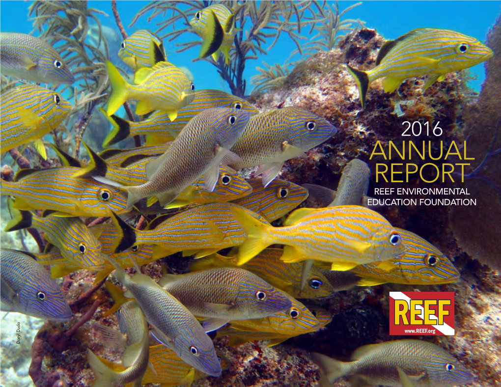 ANNUAL REPORT REEF ENVIRONMENTAL EDUCATION FOUNDATION Daryl Duda