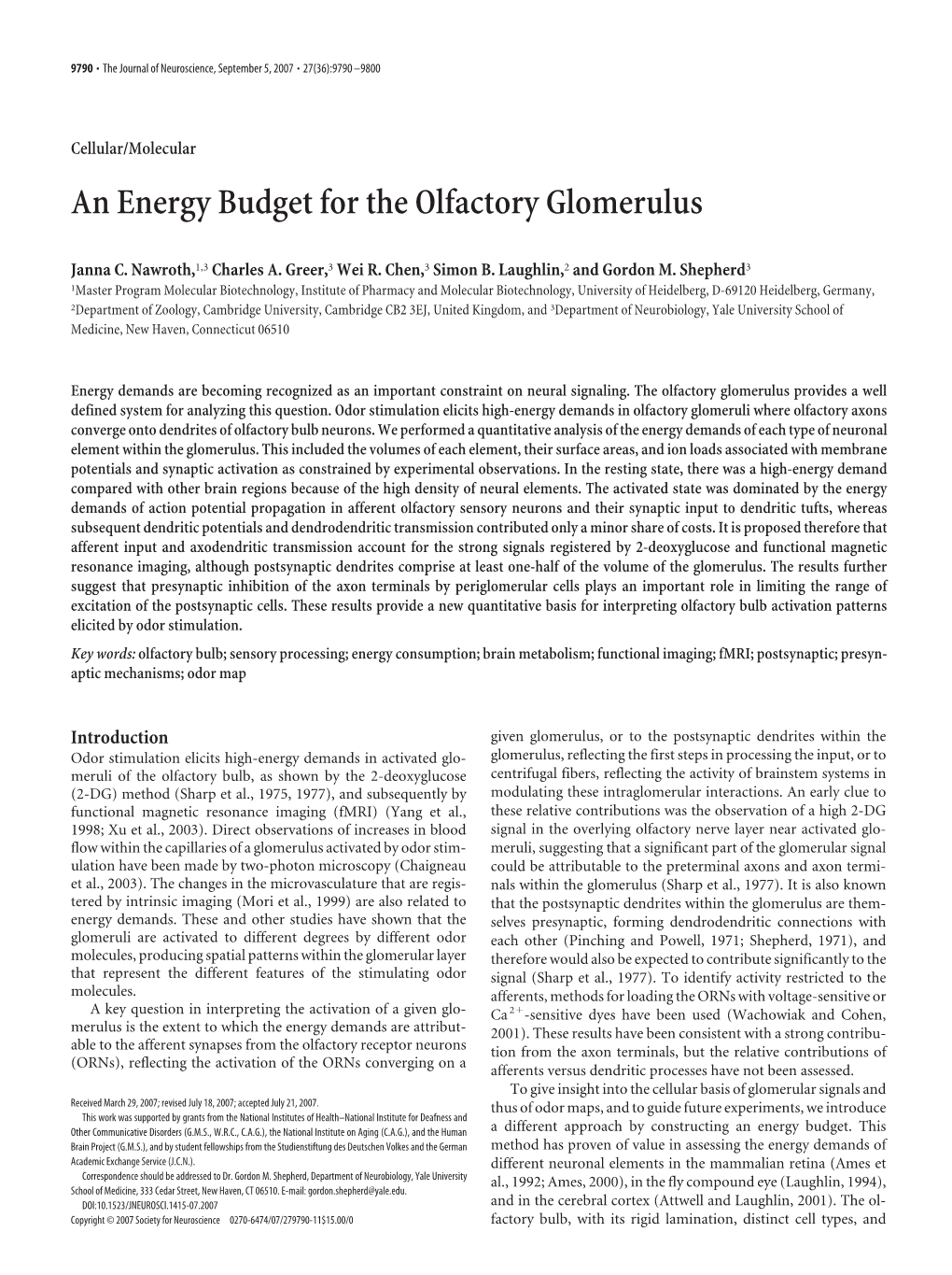 An Energy Budget for the Olfactory Glomerulus