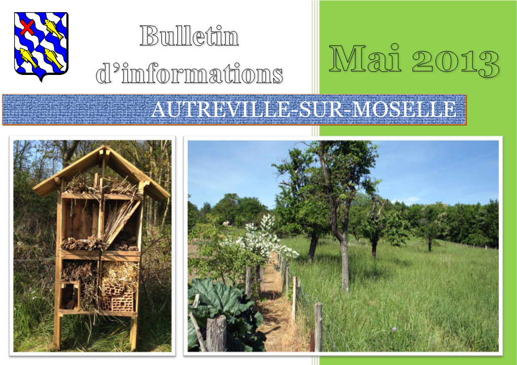 Bulletin D'information Municipal
