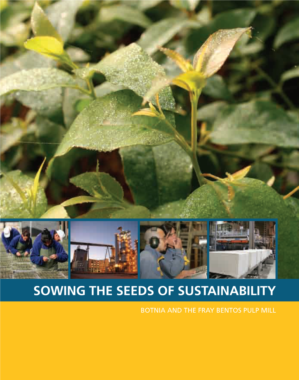 Sowing the Seeds of Sustainability Botnia and the Fray Bentos Pulp Mill Brand:Pulp&Paper