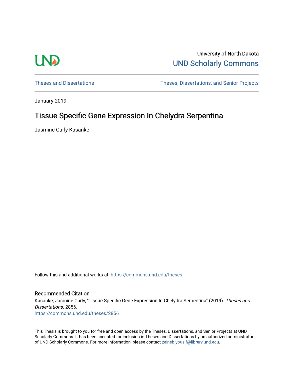 Tissue Specific Gene Expression in Chelydra Serpentina