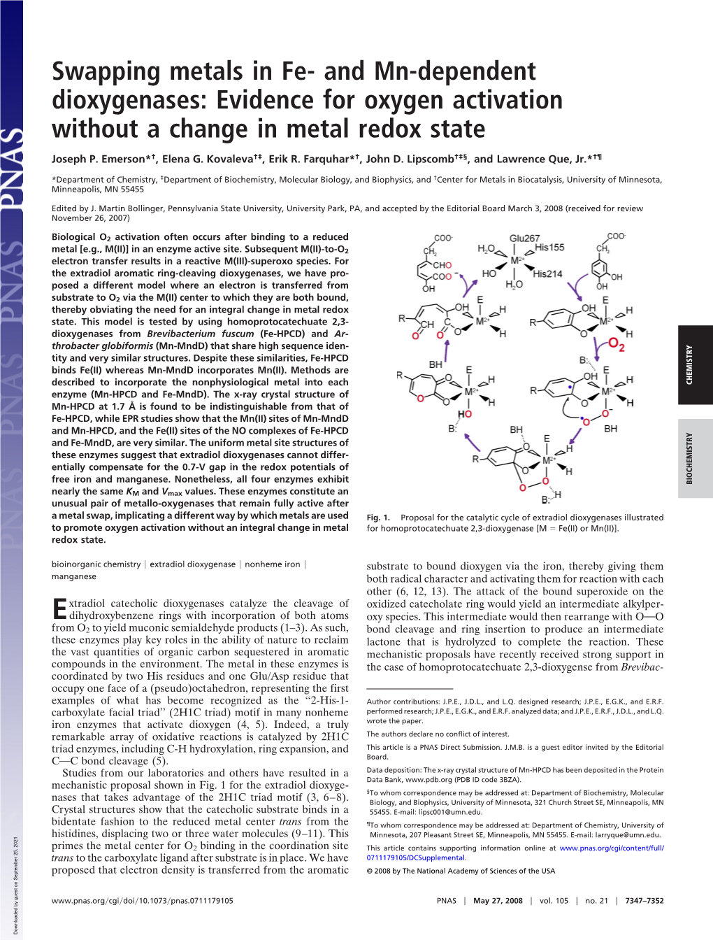 And Mn-Dependent Dioxygenases: Evidence for Oxygen Activation Without a Change in Metal Redox State