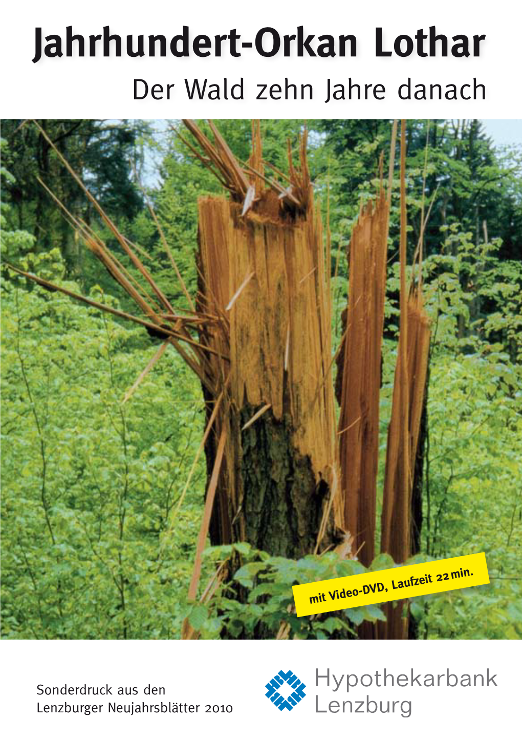 Jahrhundert-Orkan Lothar Der Wald Zehn Jahre Danach