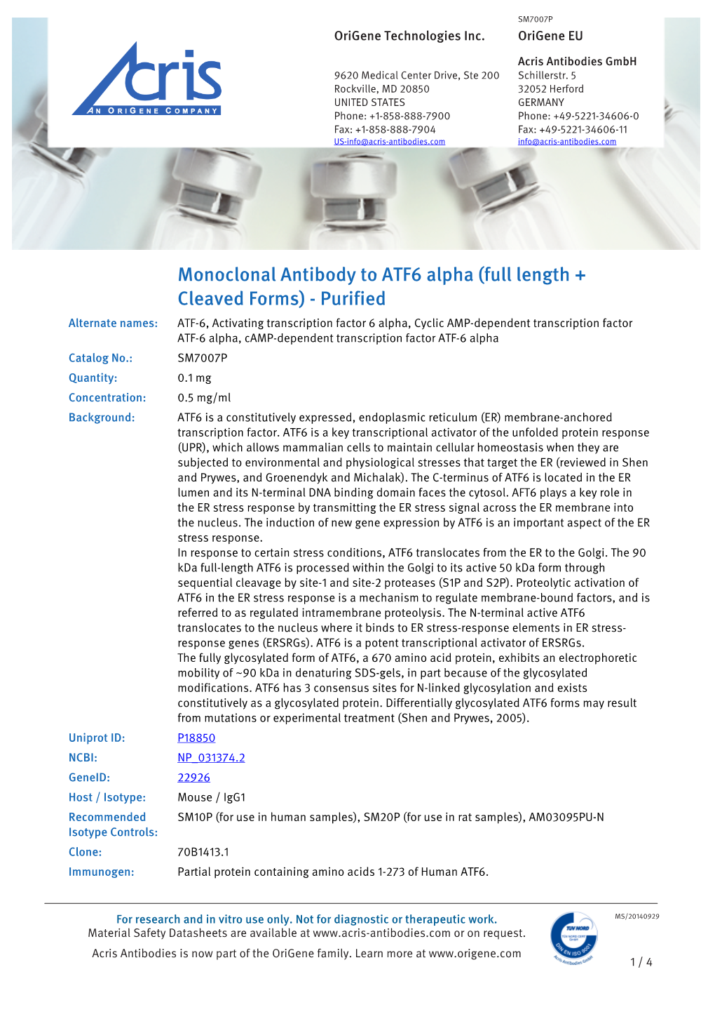Monoclonal Antibody to ATF6 Alpha