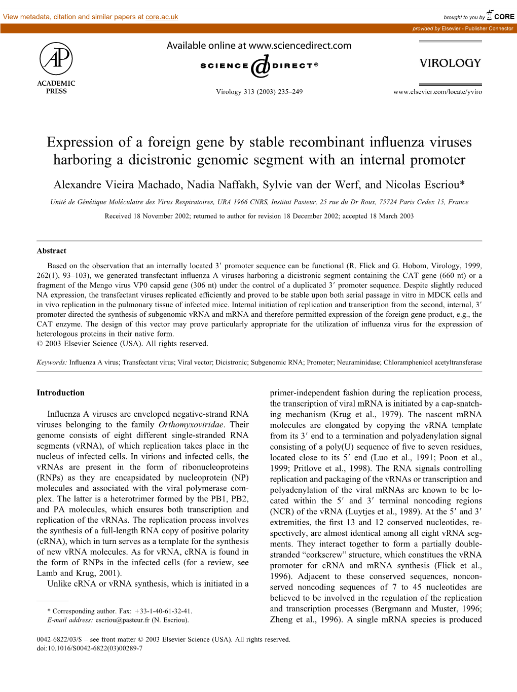 Expression of a Foreign Gene by Stable Recombinant Influenza Viruses