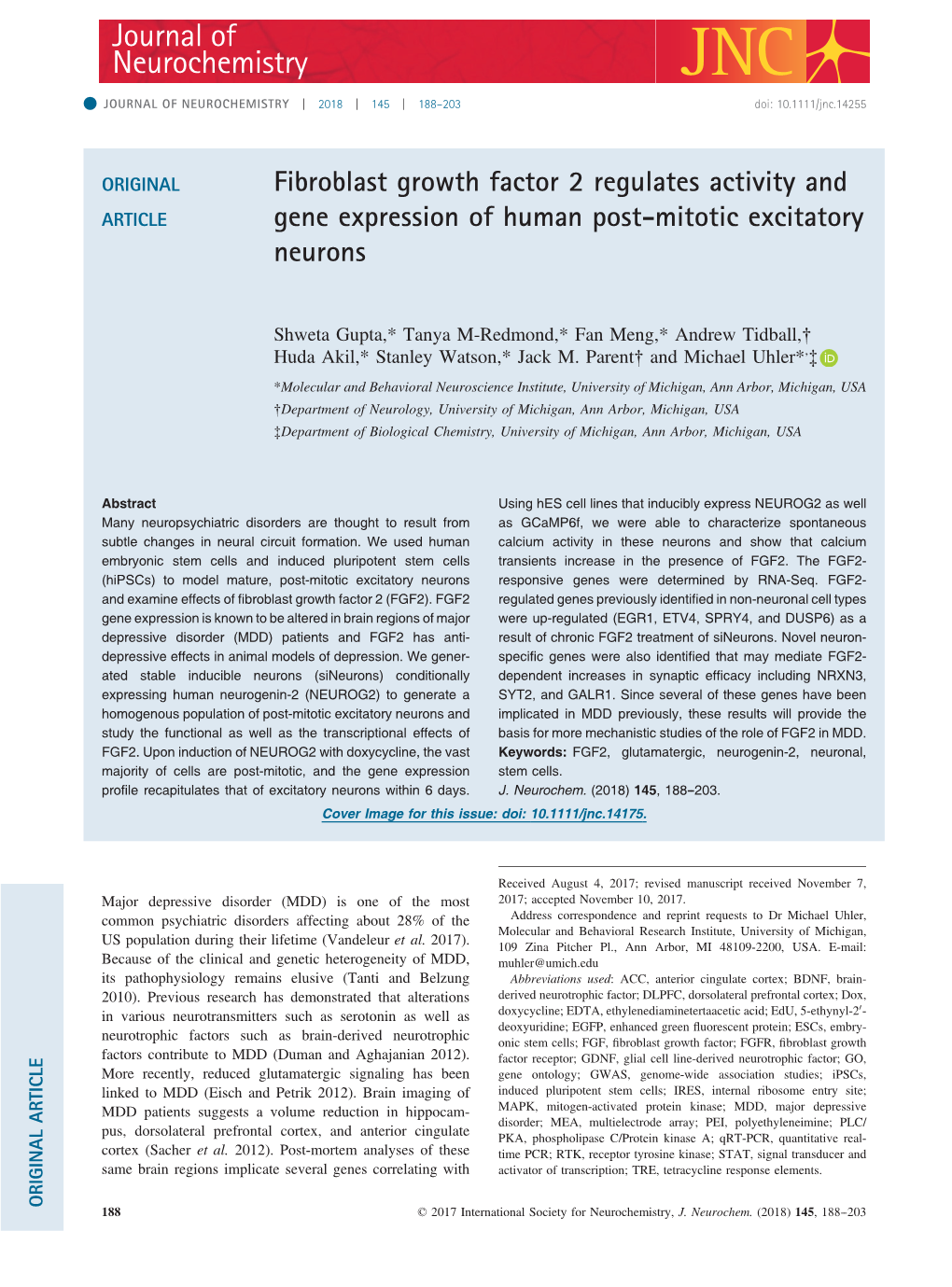 Fibroblast Growth Factor 2 Regulates Activity and Gene Expression of Human Post‐Mitotic Excitatory Neurons