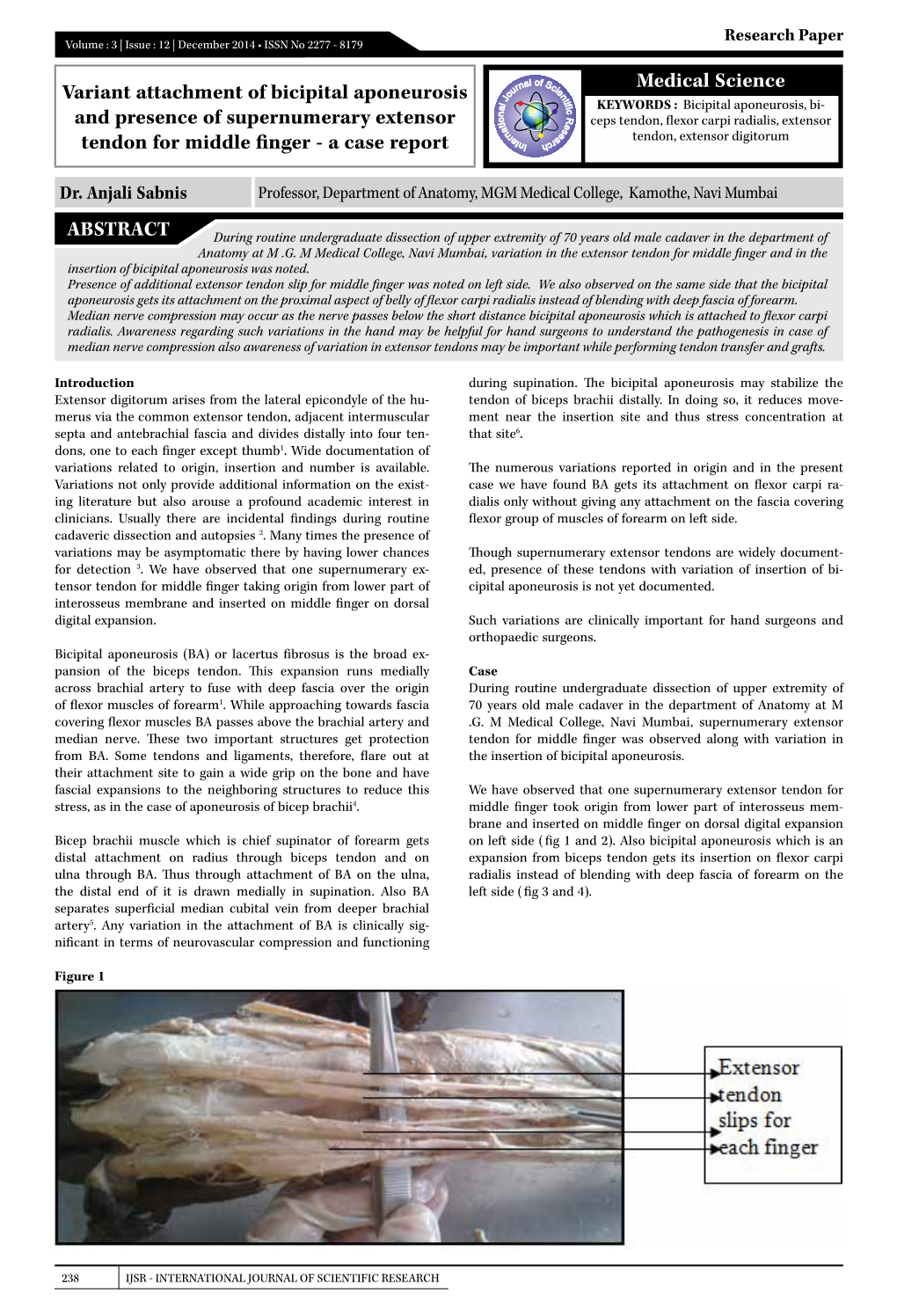 Medical Science Variant Attachment of Bicipital Aponeurosis and Presence of Supernumerary Extensor Tendon for Middle Finger