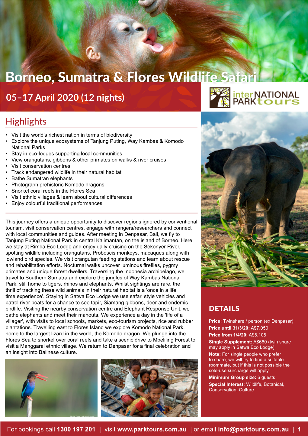 Borneo, Sumatra & Flores Wildlife Safari