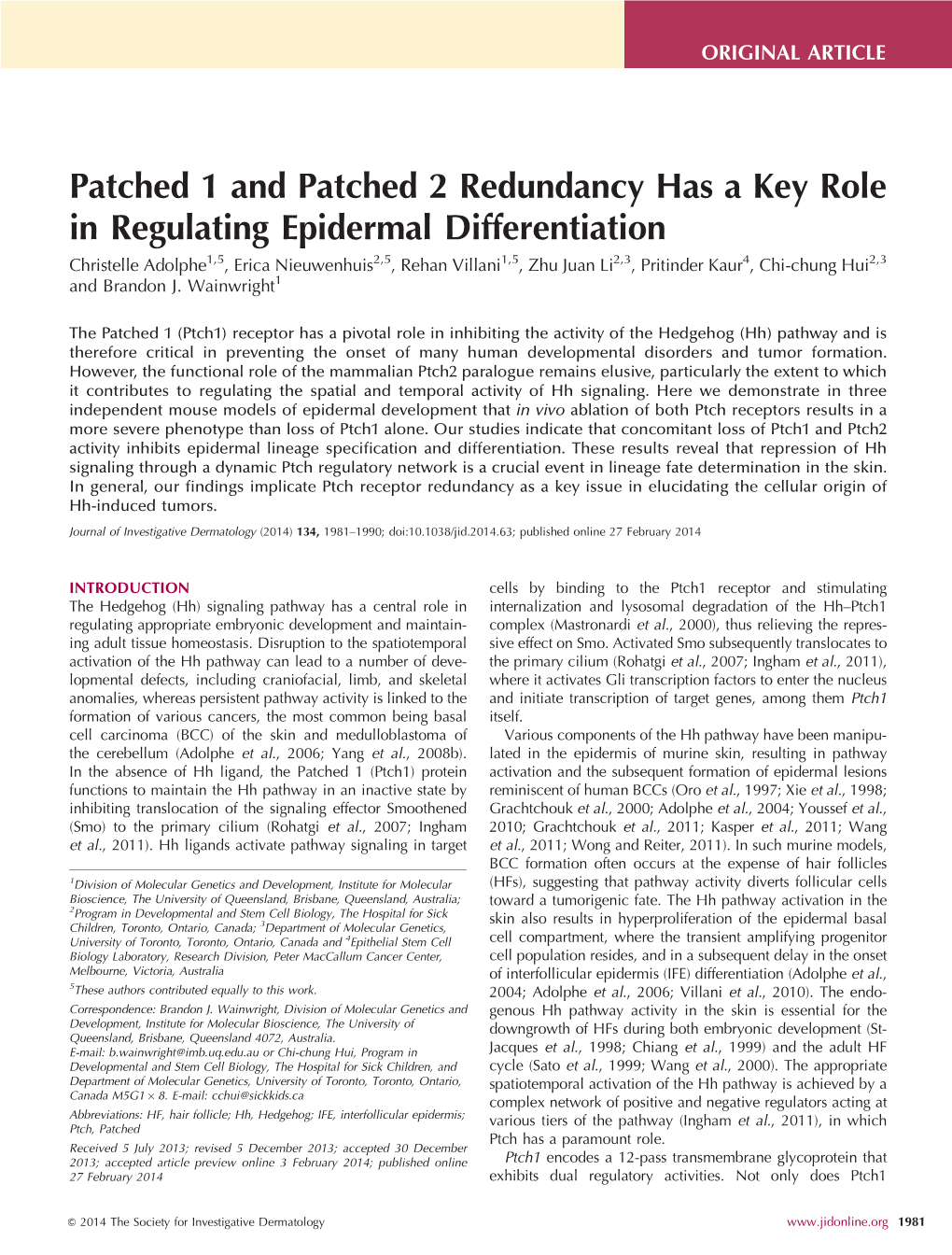 Patched 1 and Patched 2 Redundancy Has a Key Role In