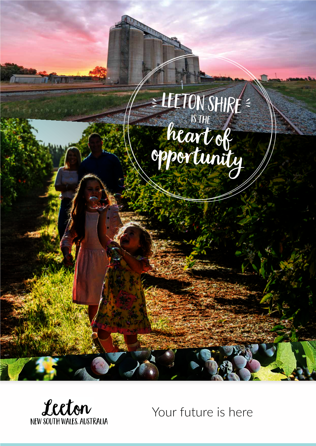 Leeton Shire Business Attraction Prospectus