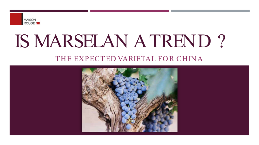 Is Marselan a Trend ? the Expected Varietal for China Origin of Marselan