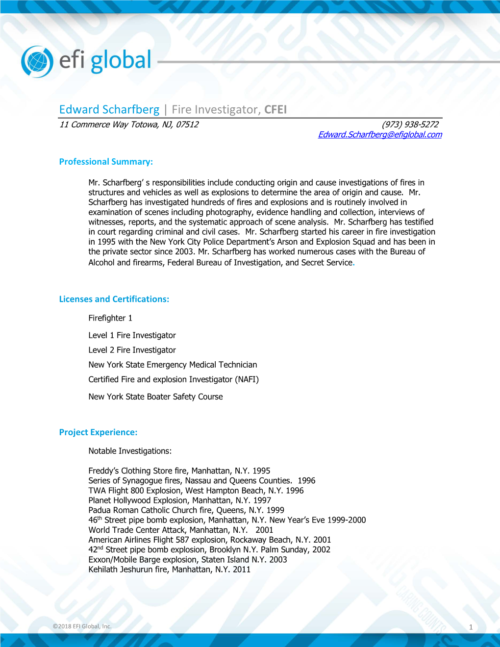 Download Expert CV File (PDF)