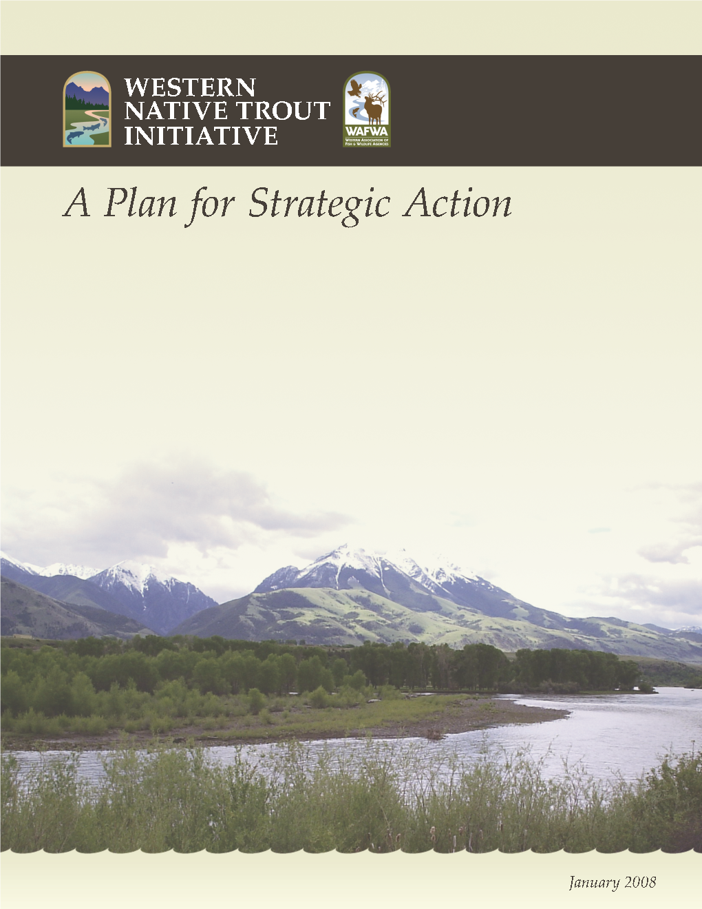 WNTI Strategic Plan