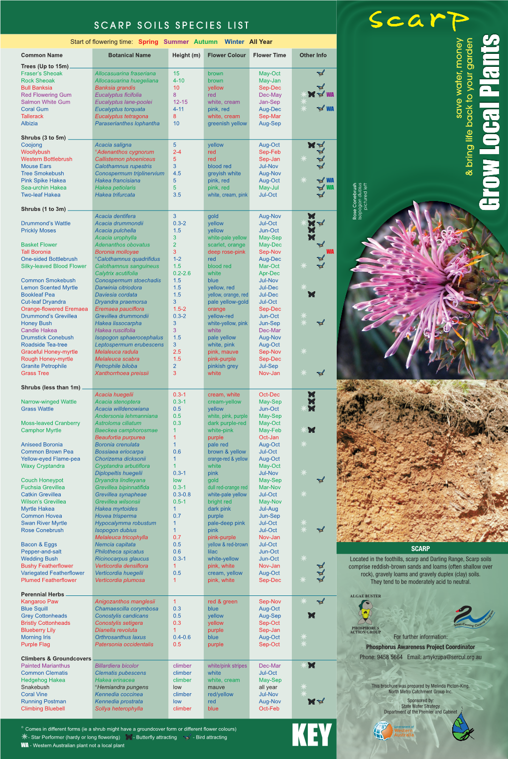 Scarp Soils Species List