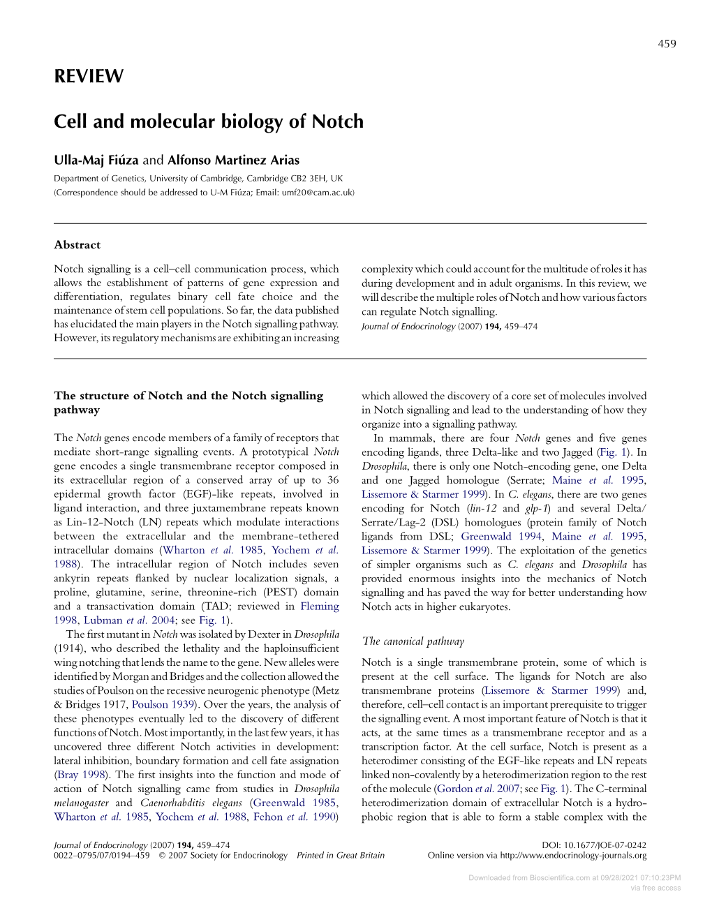 REVIEW Cell and Molecular Biology of Notch