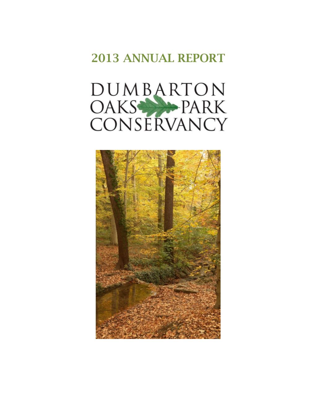 2013 Annual Report