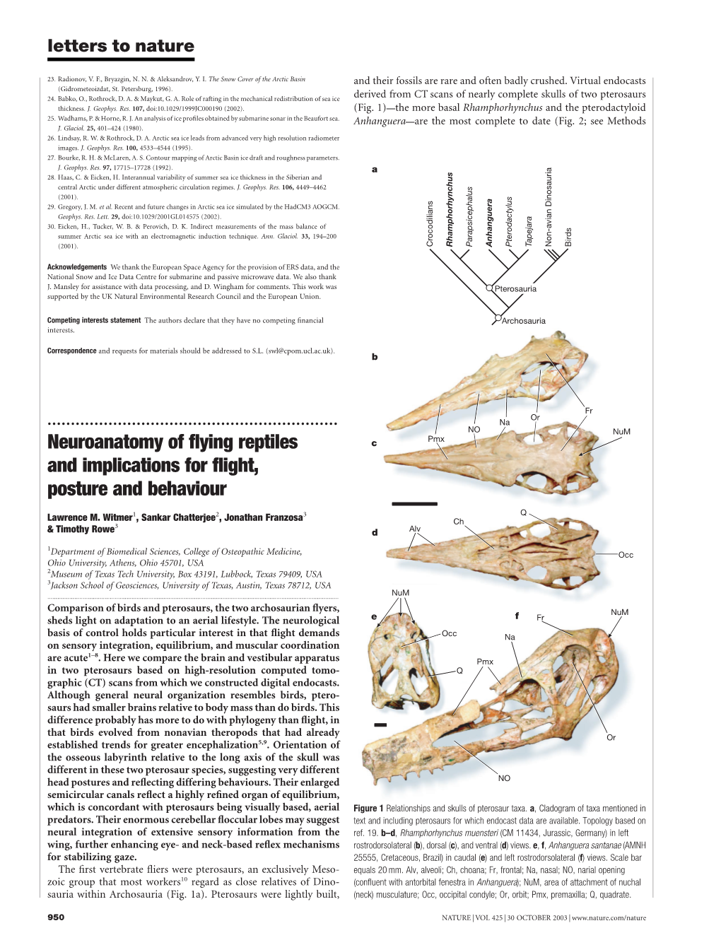 Neuroanatomy of Flying Reptiles and Implications for Flight, Posture and Behaviour