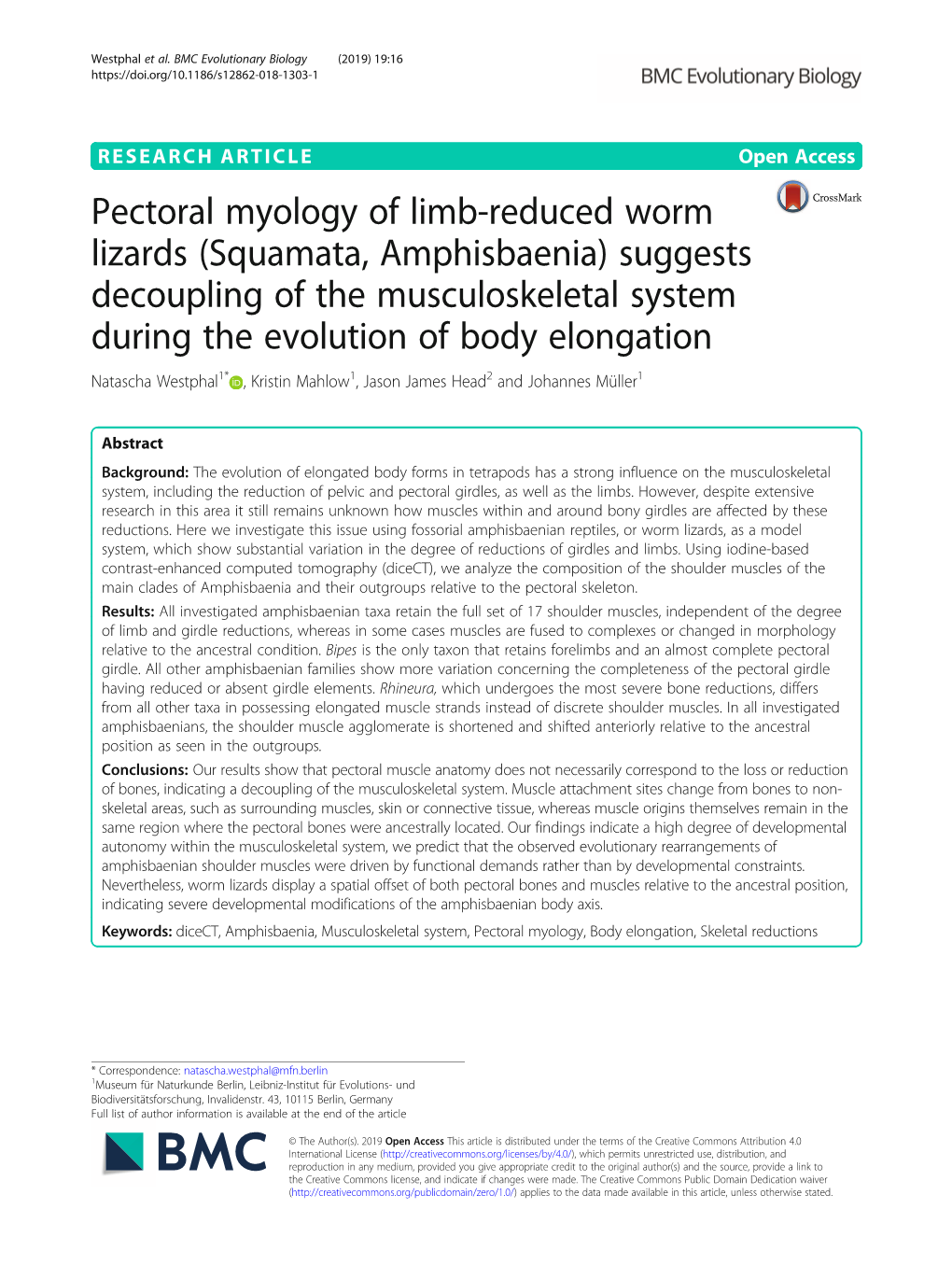 (Squamata, Amphisbaenia) Suggests Decoupling of the Musculoskeletal