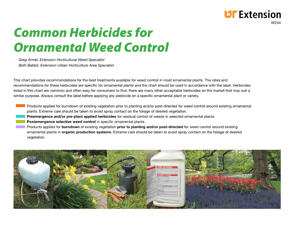 Common Herbicides for Ornamental Weed Control Greg Armel, Extension Horticultural Weed Specialist Beth Babbit, Extension Urban Horticulture Area Specialist