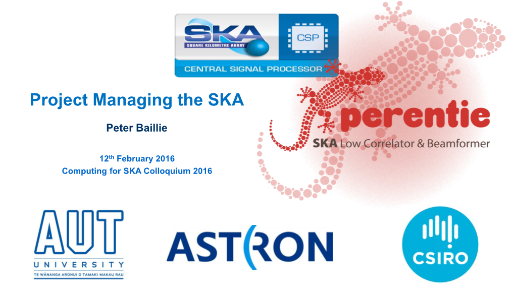 Project Managing the SKA