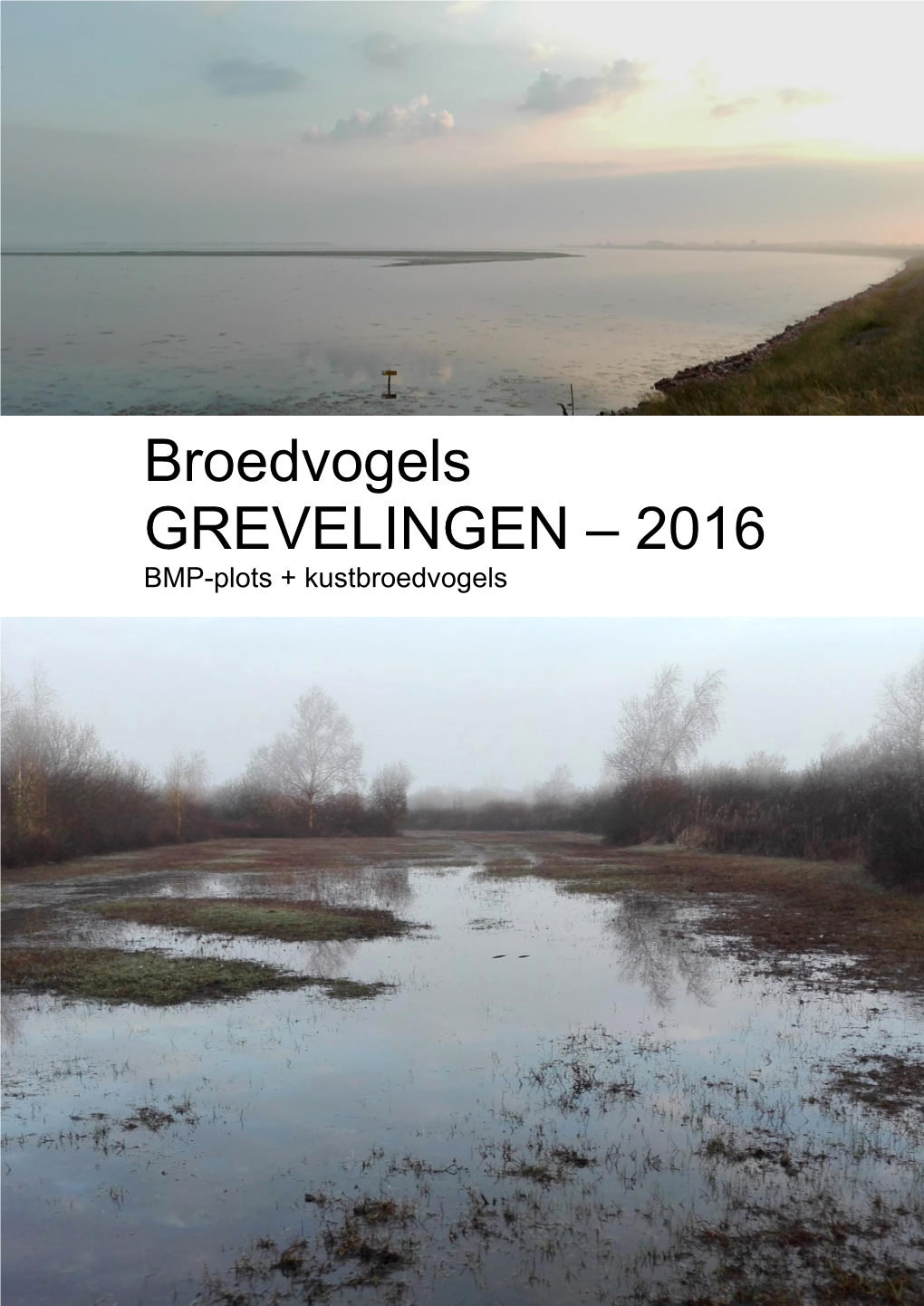 Broedvogels GREVELINGEN – 2016 BMP-Plots + Kustbroedvogels