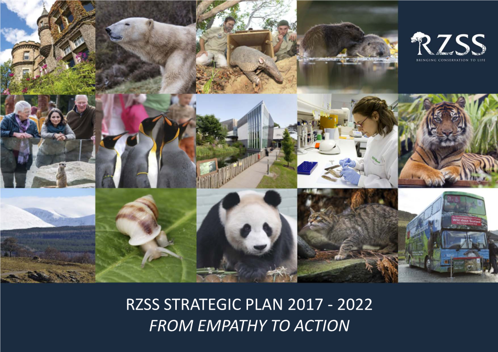 Rzss Strategic Plan 2017 - 2022 from Empathy to Action Contents