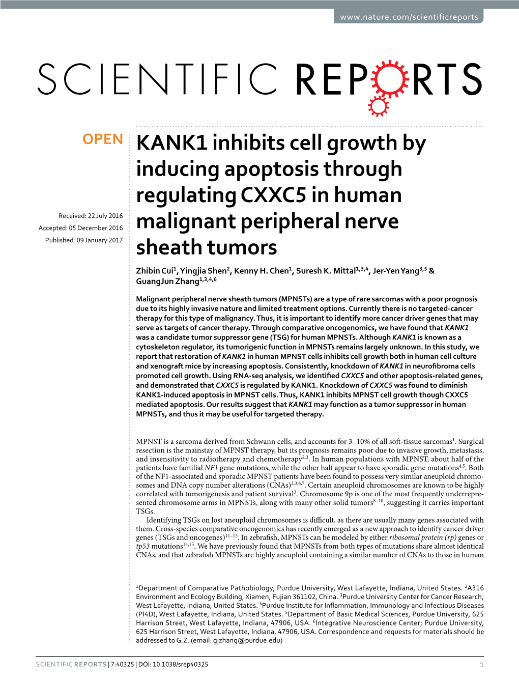 KANK1 Inhibits Cell Growth by Inducing Apoptosis Through