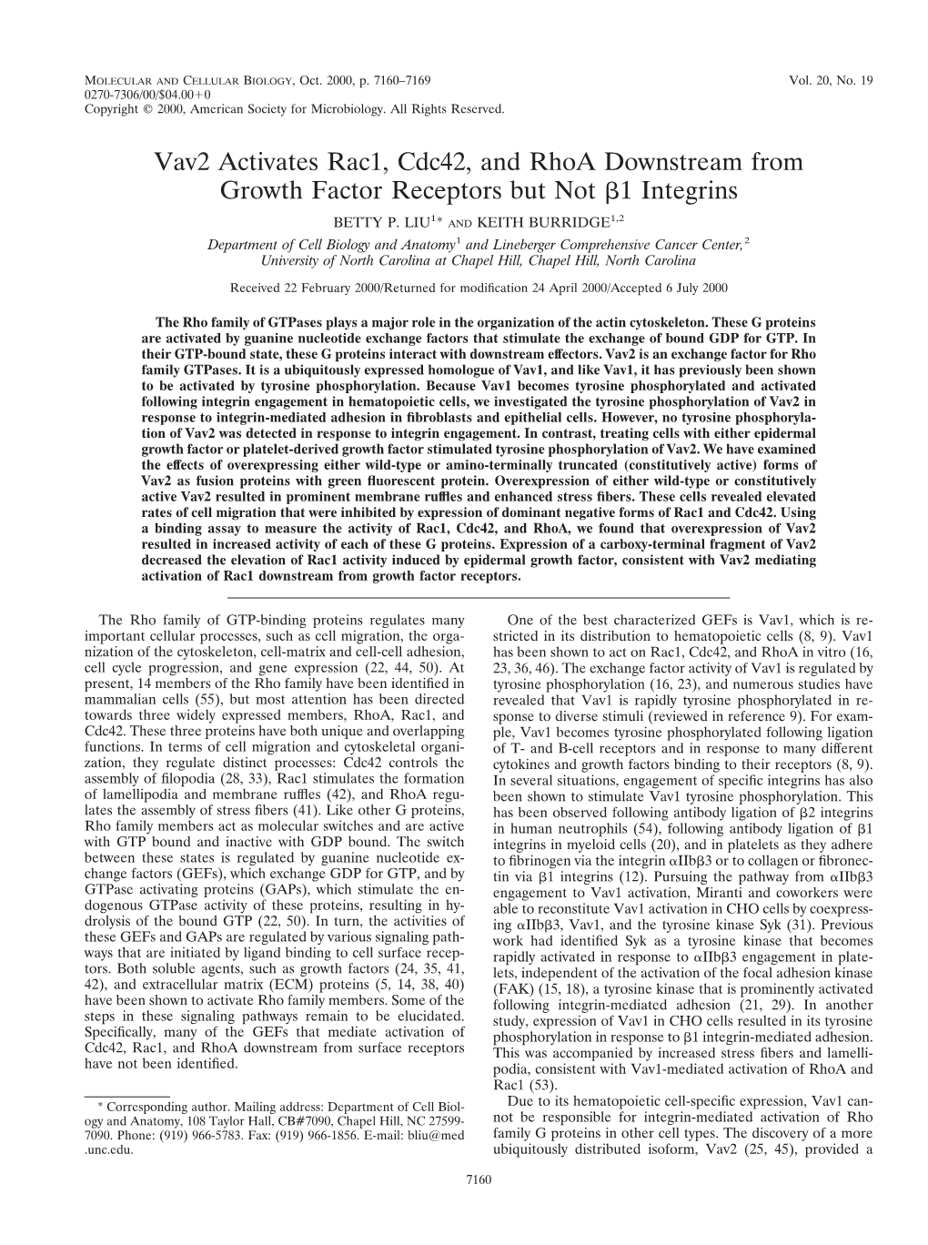 Vav2 Activates Rac1, Cdc42, and Rhoa Downstream from Growth Factor Receptors but Not ␤1 Integrins