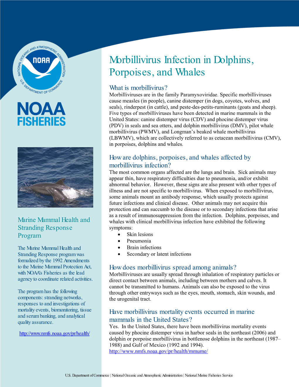 Morbillivirus Infection in Dolphins, Porpoises, and Whales What Is Morbillivirus? Morbilliviruses Are in the Family Paramyxoviridae