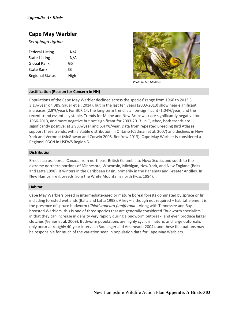 Cape May Warbler Setophaga Tigrina
