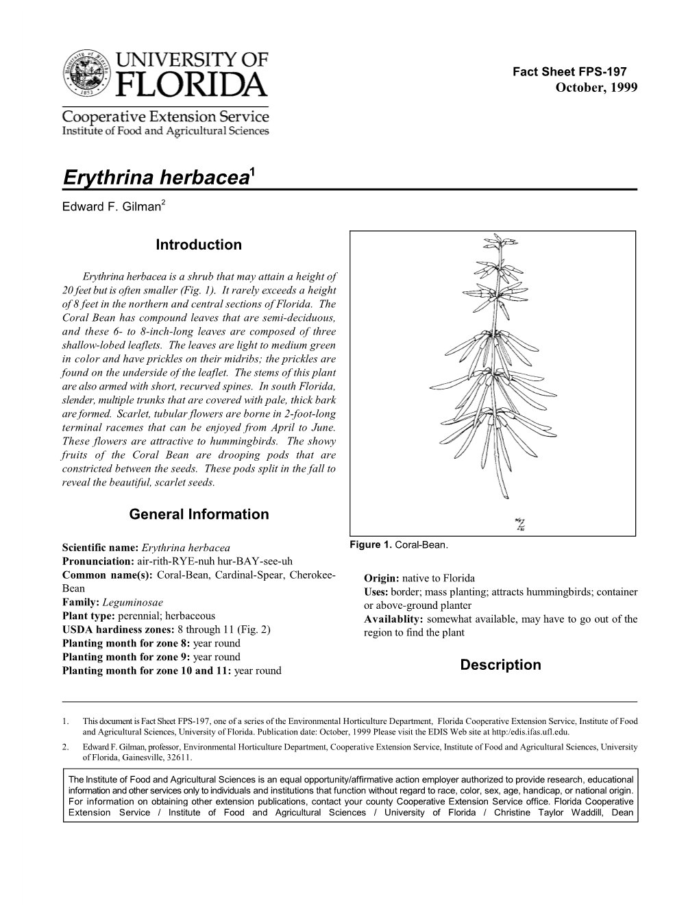 Erythrina Herbacea1