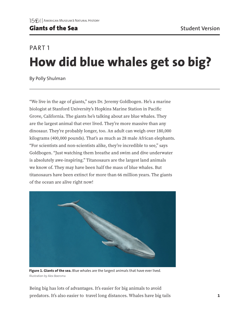 How Did Blue Whales Get So Big?