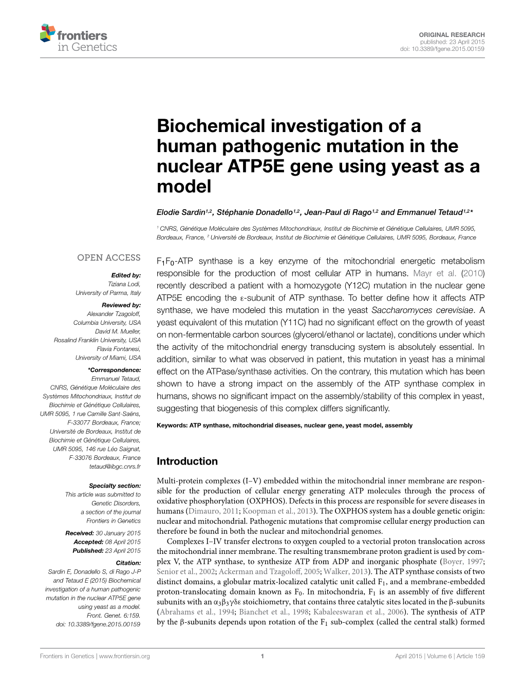 Biochemical Investigation of a Human Pathogenic Mutation in the Nuclear ATP5E Gene Using Yeast As a Model