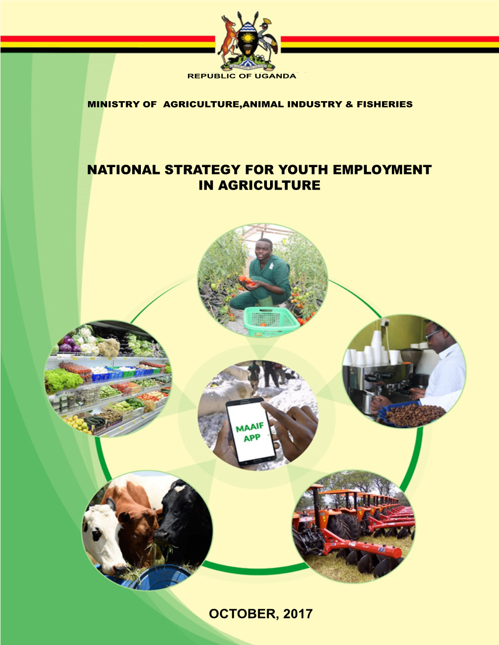 National Strategy for Youth Employment in Agriculture October, 2017