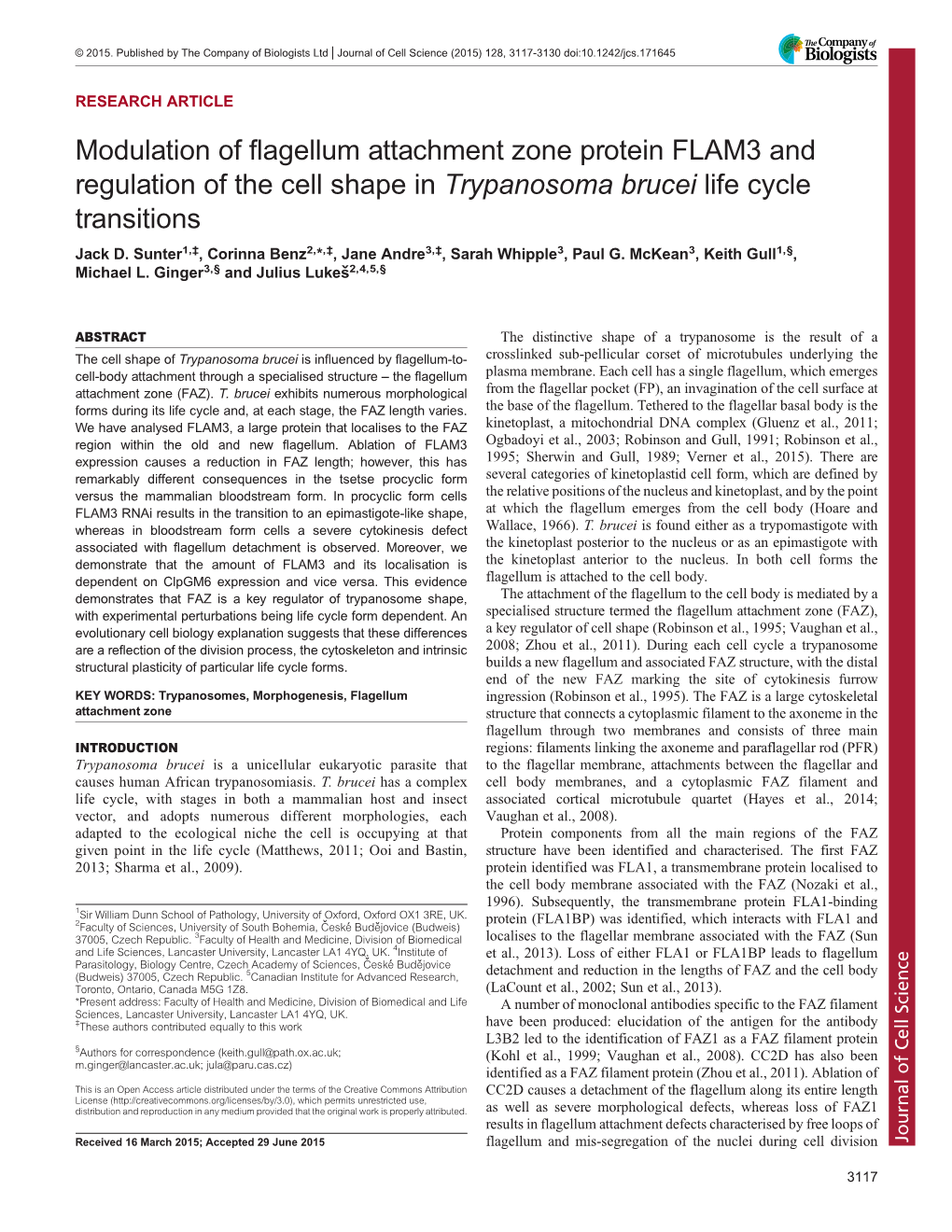 Modulation of Flagellum Attachment Zone Protein FLAM3 and Regulation of the Cell Shape in Trypanosoma Brucei Life Cycle Transitions Jack D