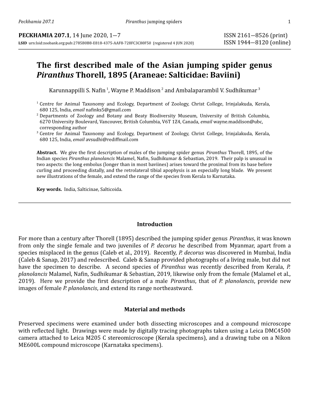 The First Described Male of the Asian Jumping Spider Genus Piranthus Thorell, 1895 (Araneae: Salticidae: Baviini)