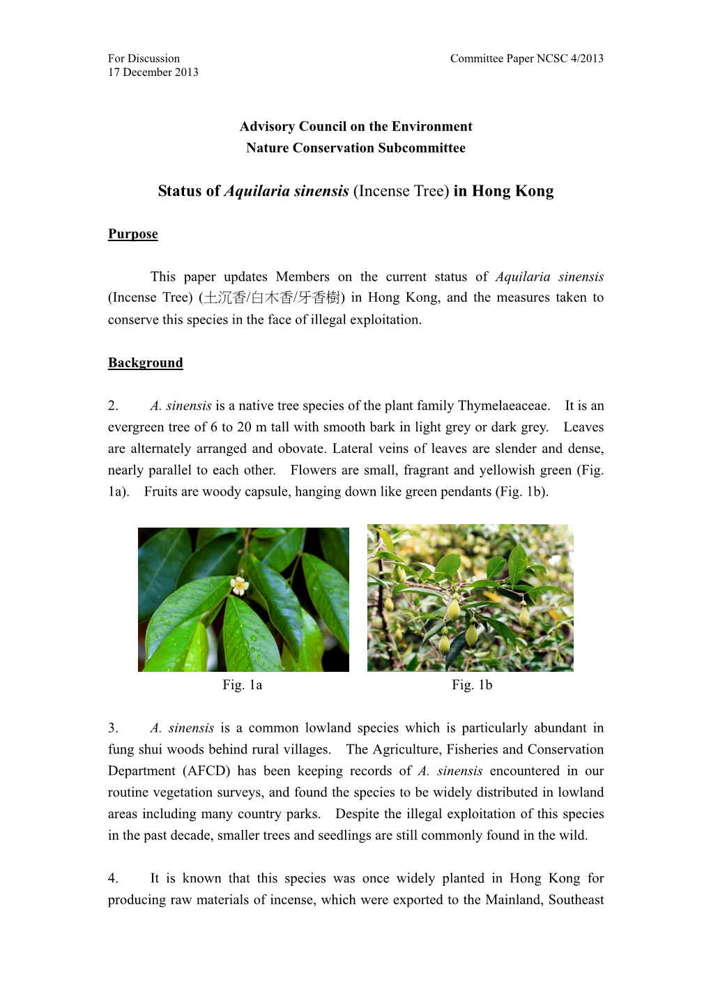 Status of Aquilaria Sinensis (Incense Tree) in Hong Kong